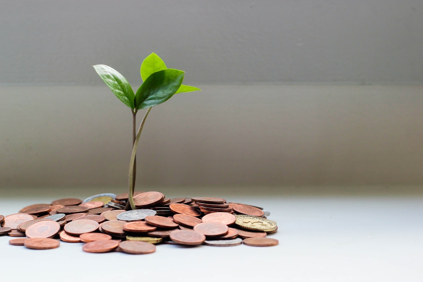 From Analyzing Paper Deals…to Doing it For Real